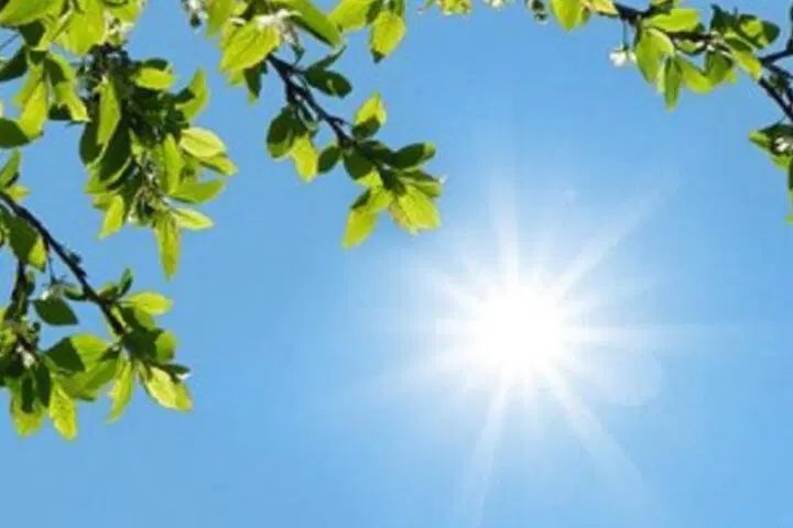 راهنمایی احساس آرامش|فعالیت داوطلبانه|مشهد, سجاد شهر|دیوار