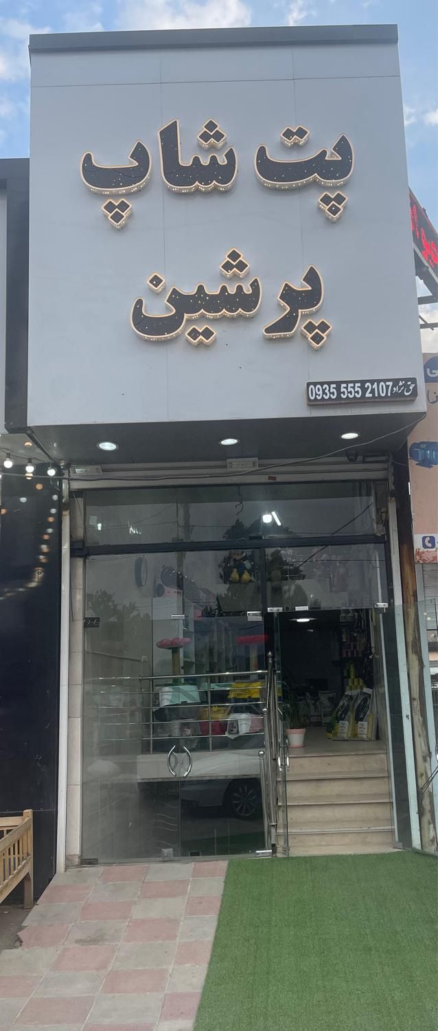 نیاز به یک دامپزشک جهت همکاری در پت شاپ|استخدام درمانی، زیبایی، بهداشتی|هشتگرد, |دیوار
