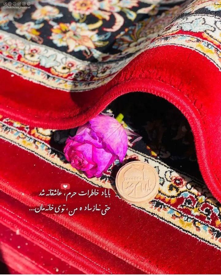 قالیشویی مبل شویی «همشهری»در مشهد تضمینی قالی شویی|خدمات نظافت|مشهد, هدایت|دیوار