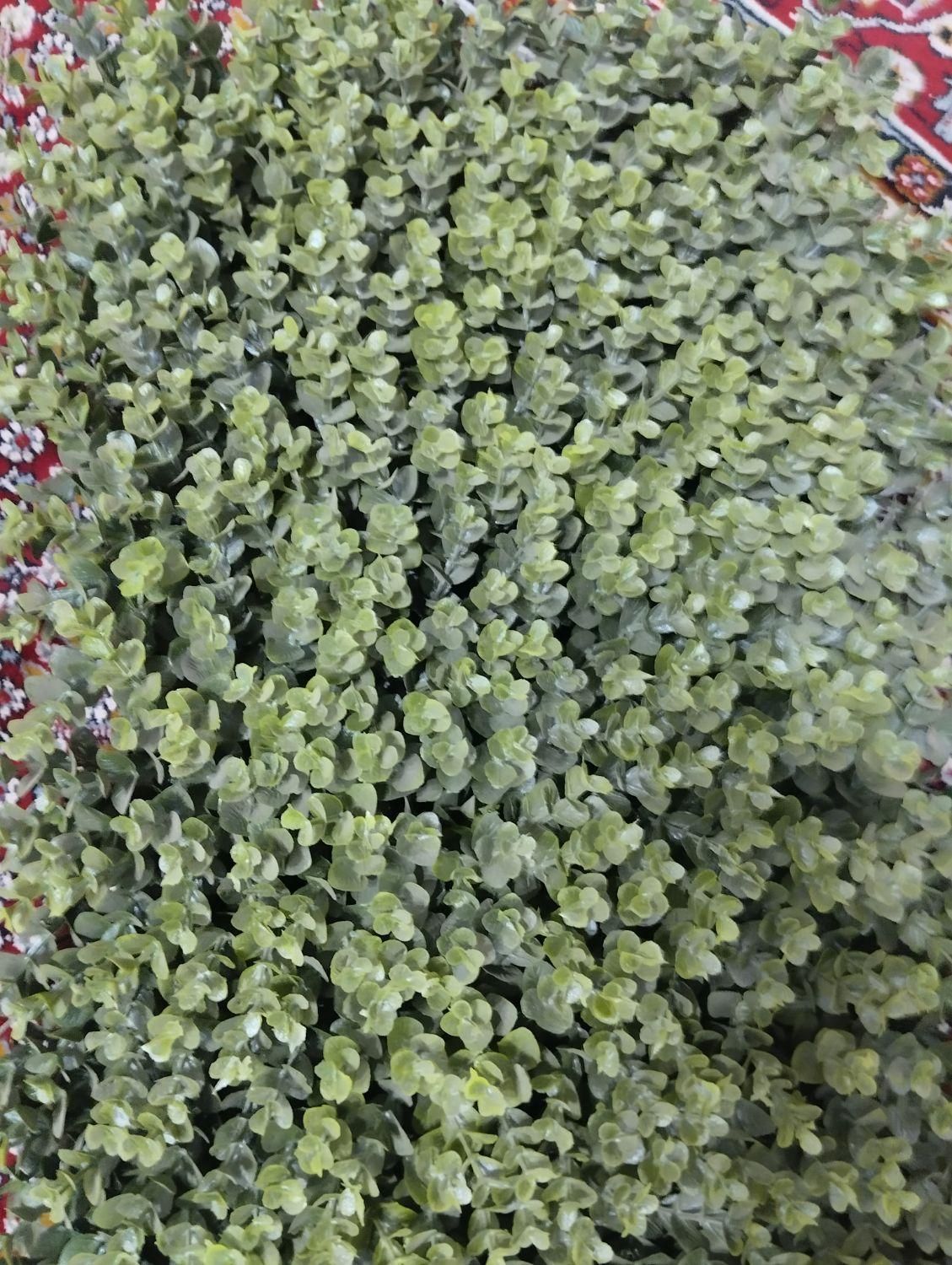 پنل شمشاد مصنوعی ۶۰در۴۰|گل مصنوعی|زاهدان, |دیوار