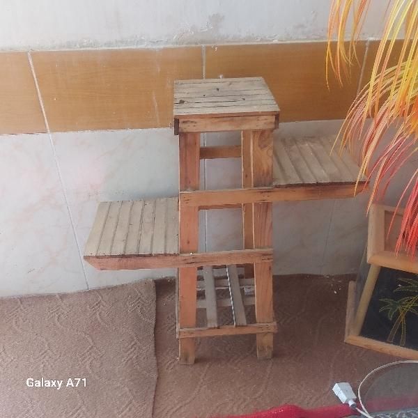 نوع|گل و گیاه طبیعی|تربت جام, فاز ۲ فرهنگیان|دیوار