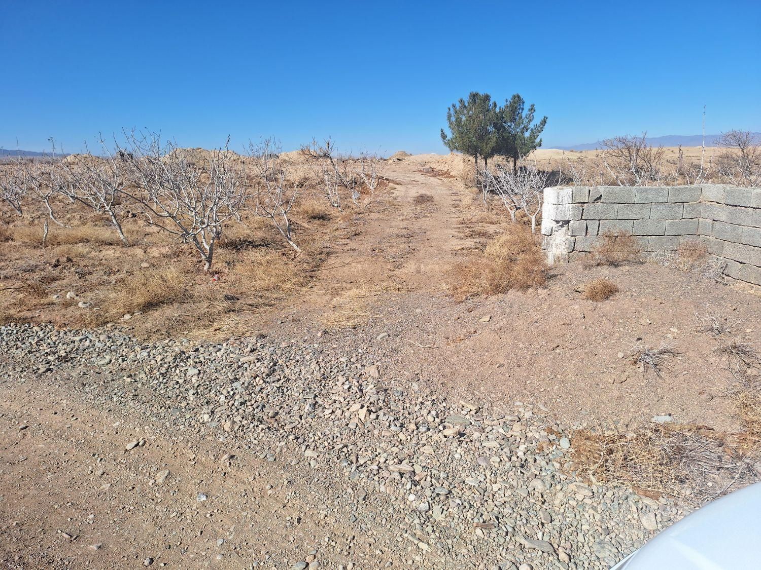 زمین چاه کاریز نو لاج|فروش زمین و ملک کلنگی|خواف, |دیوار