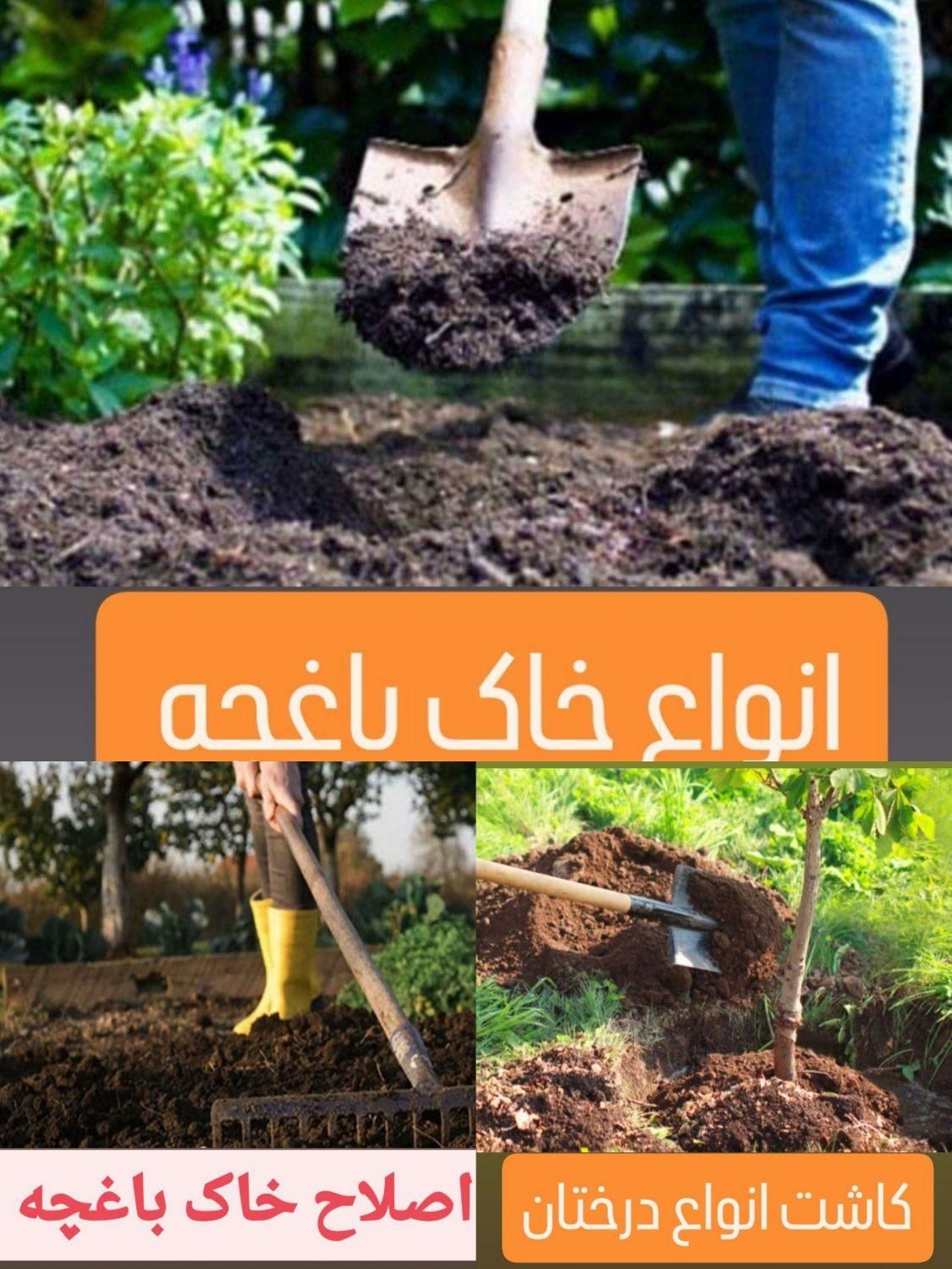 طراحی،اجرای فضای سبز،باغچه امورباغبانی،تعویض گلدان|خدمات باغبانی و درختکاری|اصفهان, خانه اصفهان|دیوار
