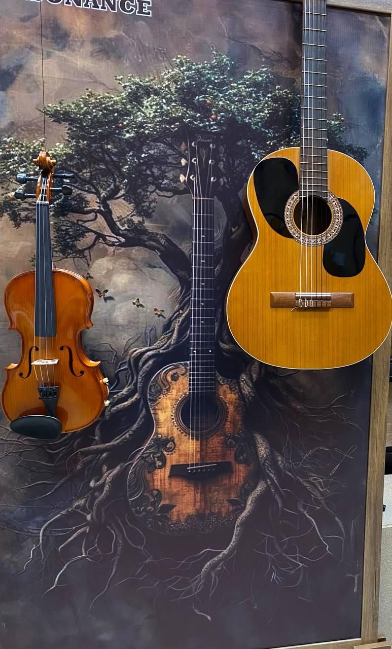 گیتار پارسی اکشن پایین|گیتار، بیس، امپلیفایر|مشهد, آزادشهر|دیوار