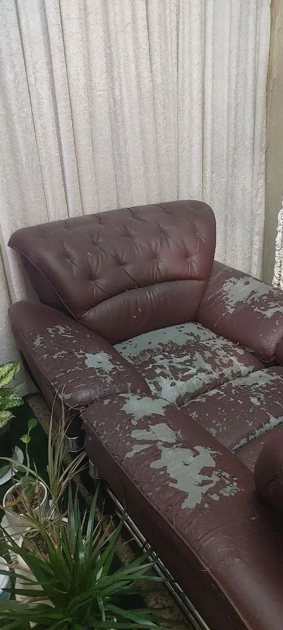مبلمان ۷ نفره راحتی|مبلمان خانگی و میز عسلی|مشهد, کوشش|دیوار