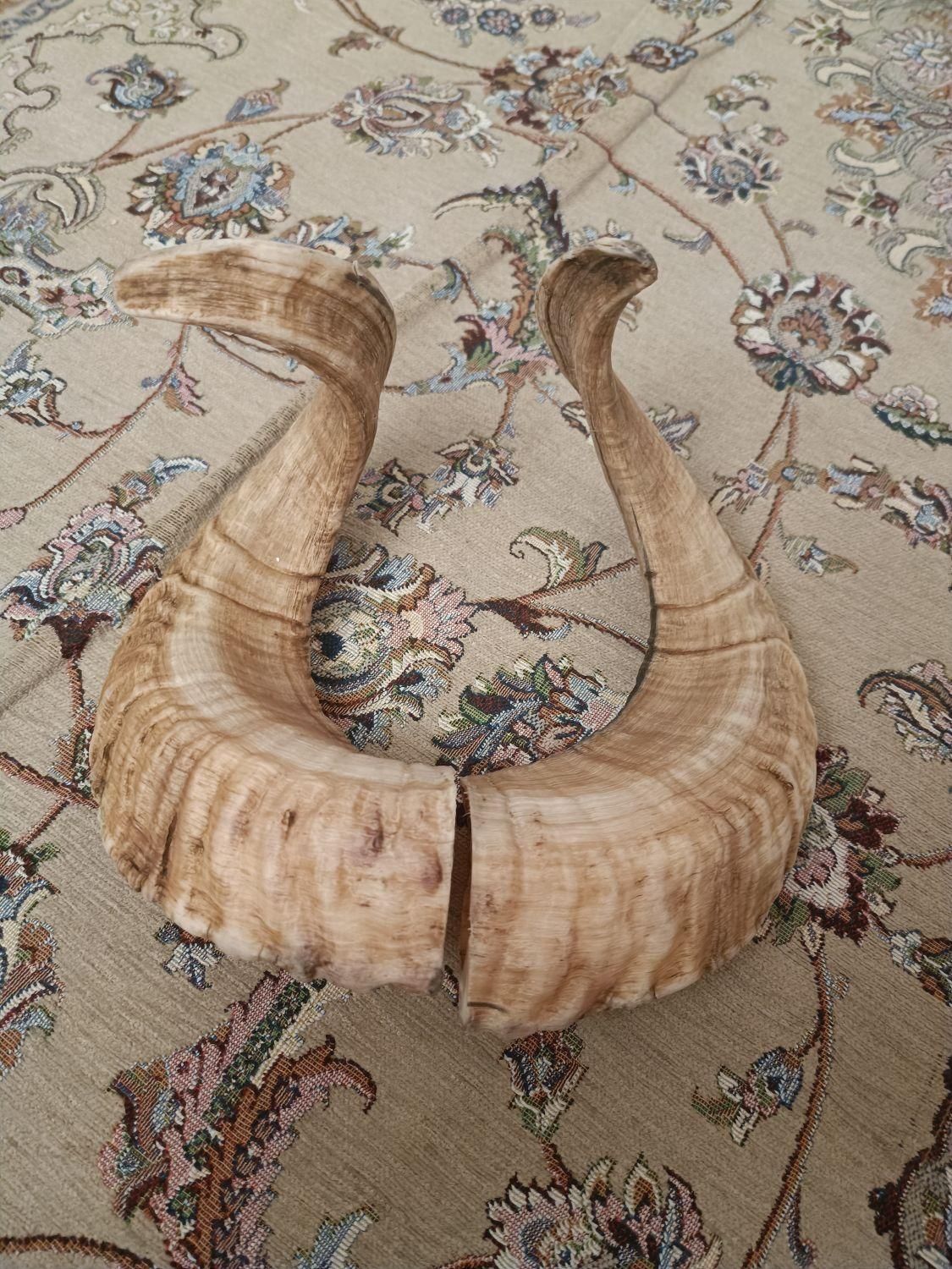 شاخ|صنایع دستی و سایر لوازم تزئینی|تهران, فلاح|دیوار