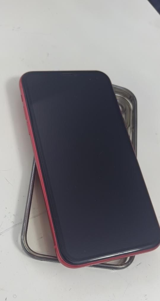 اپل iPhone 11 با حافظهٔ ۶۴ گیگابایت|موبایل|ارومیه, |دیوار