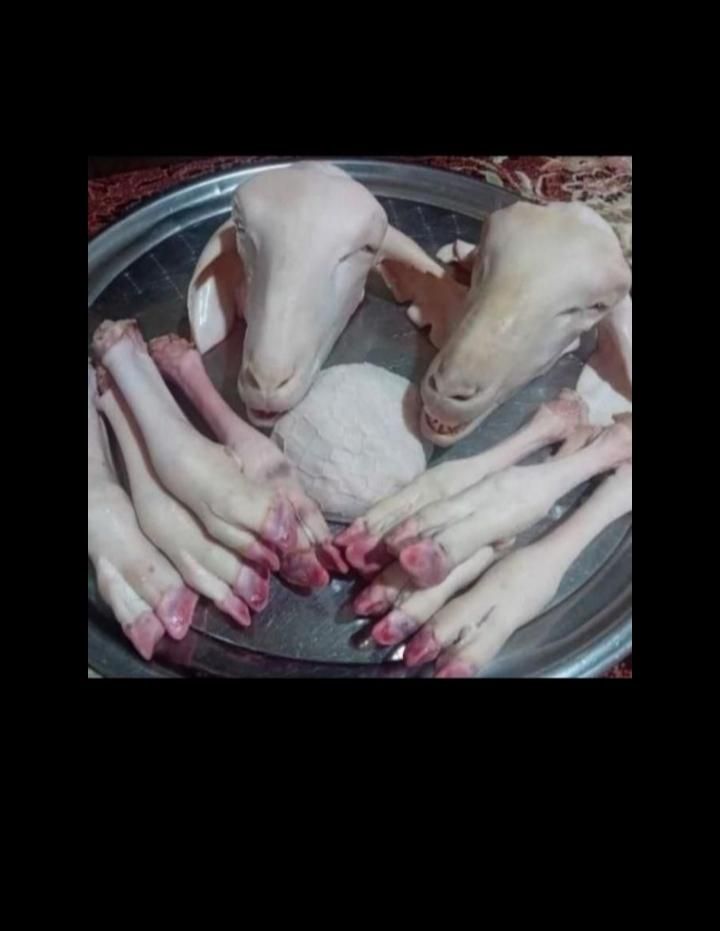 کله پاچه و سیرابی تمیز میکنیم|خوردنی و آشامیدنی|زنجان, |دیوار