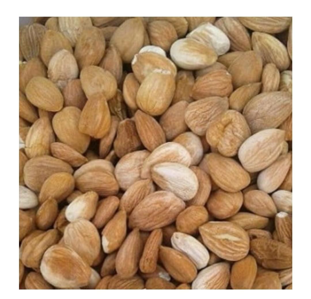 مغز هسته زرد آلو بومی از زردآلو امسالی|خوردنی و آشامیدنی|اصفهان, خوراسگان|دیوار