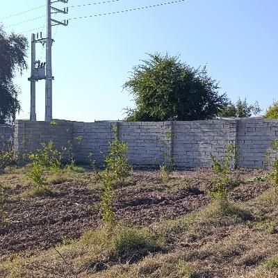 پیش فروش/باغچه برق/آب تصفیه/کوچه پردیس بنجعفر|پیش‌فروش املاک|دزفول, |دیوار