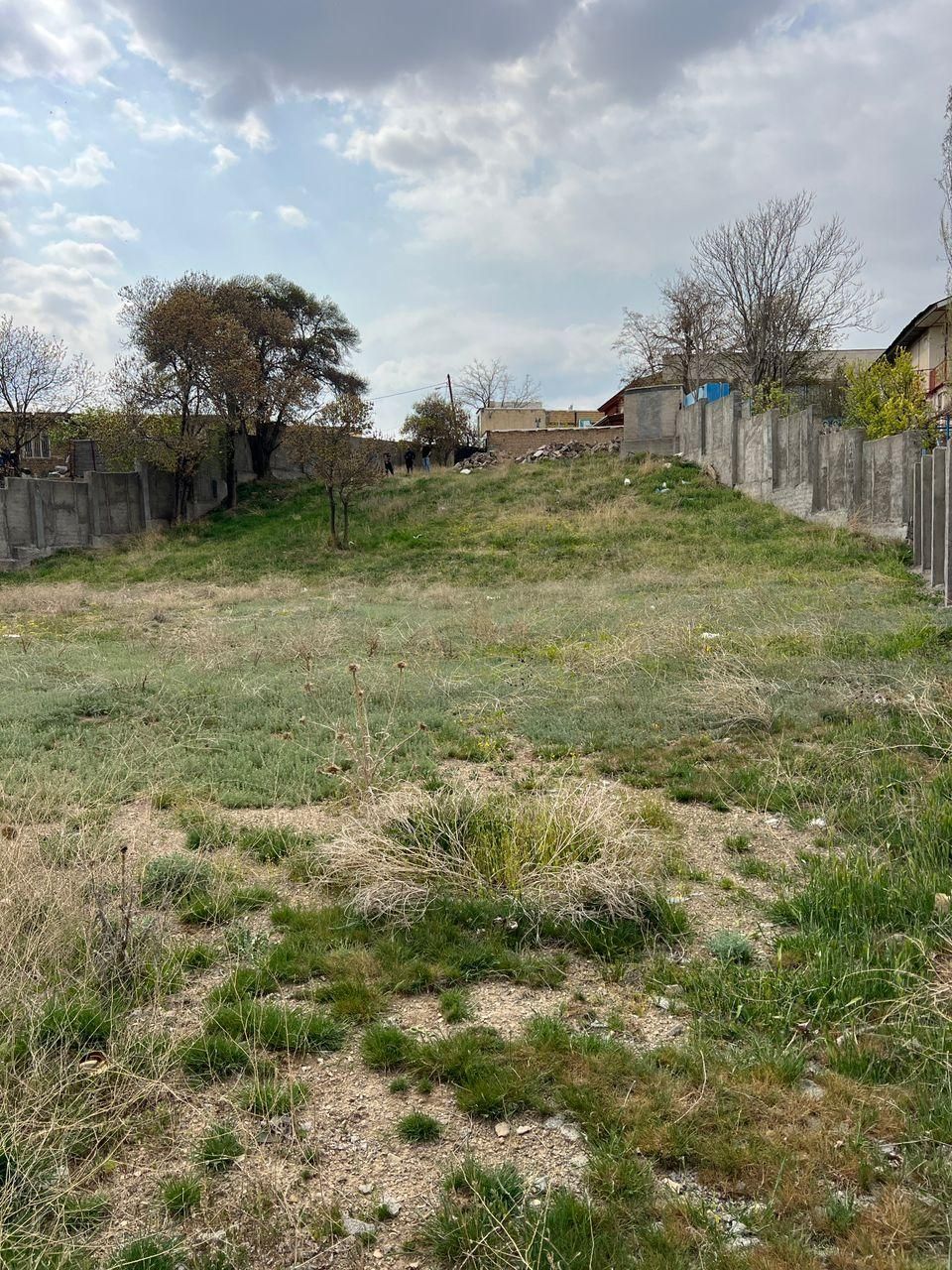 ۱۸۰۰ متر داخل بافت ابسرد|فروش زمین و ملک کلنگی|آبسرد, |دیوار