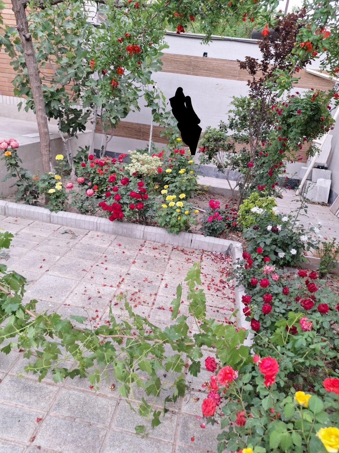 خدمات کشاورزی.باغبانی‌گل کاری.تعویض خاک و گلدان|خدمات باغبانی و درختکاری|بیرجند, |دیوار