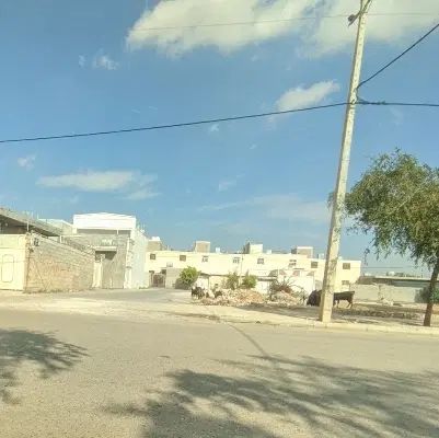 فروش زمین هزارمتری دونبش برخیابان اصلی وسط شهرخوزی|فروش زمین و ملک کلنگی|وراوی, |دیوار