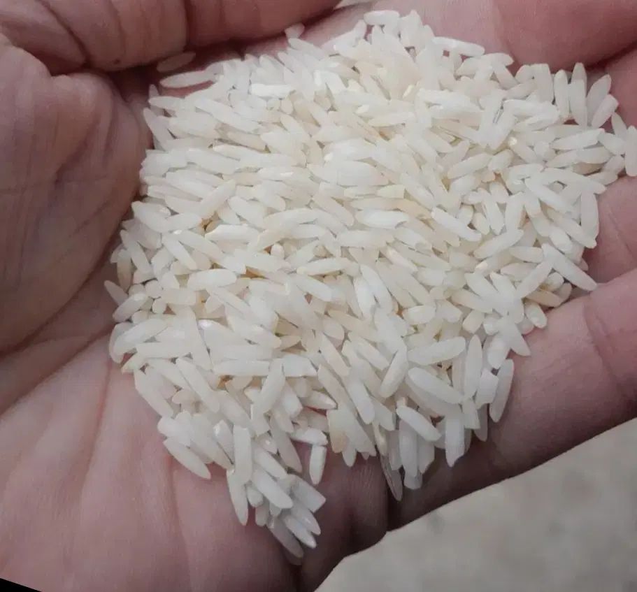 برنج هاشمی کیلویی ۲۸۰تومان ۲۰کیلو موجوده|خوردنی و آشامیدنی|صومعه‌سرا, |دیوار