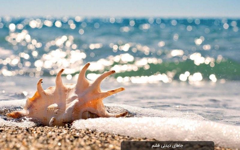 سفر به جزیره قشم با قطار|تور و چارتر|تهران, شهران جنوبی|دیوار