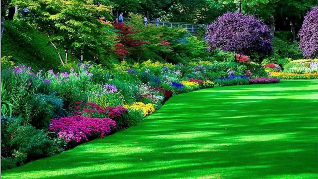 طراحی فضای سبز|خدمات باغبانی و درختکاری|لنگرود, |دیوار