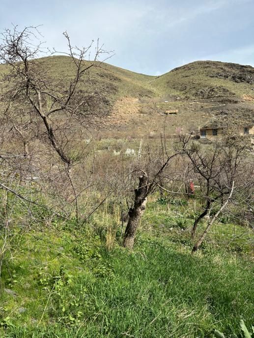 در محله زشک به سرمایه گذار برای لمکده نیازمندیم|مشارکت در ساخت املاک|مشهد, آزادشهر|دیوار