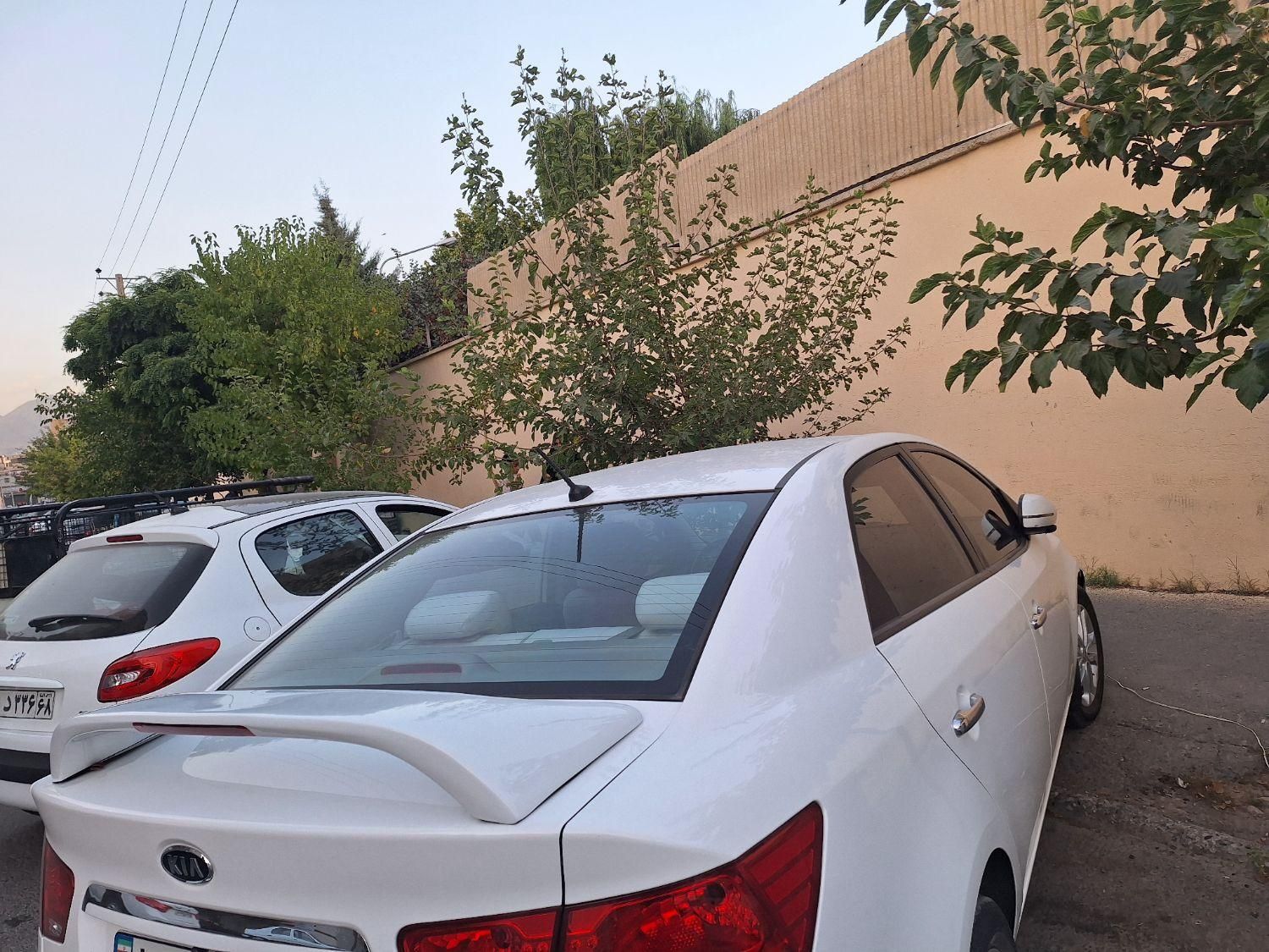 بال اسپرت صندق عقب|قطعات یدکی و لوازم جانبی|کرج, کوی کارمندان جنوبی|دیوار