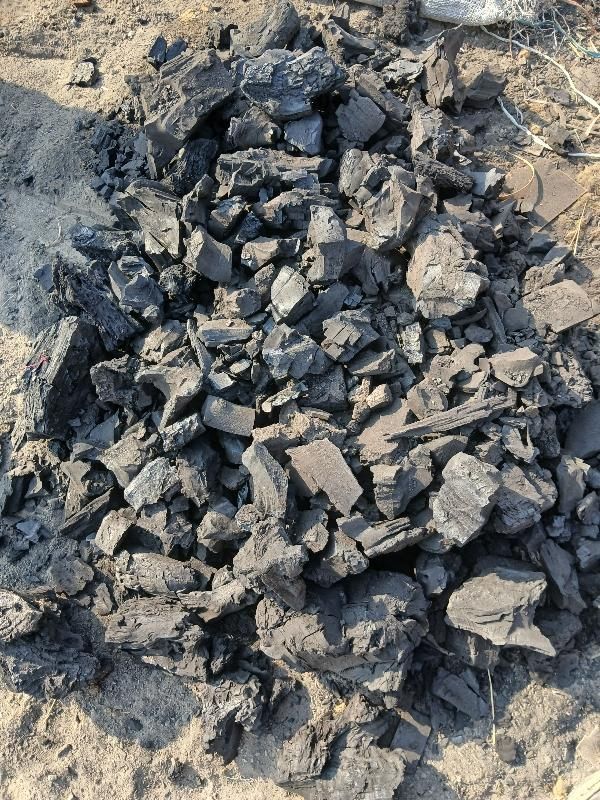 زغال کبابی|عمده‌فروشی|ری, علایین|دیوار