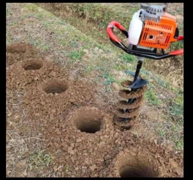 چمن علف زنی چاله کنی سمپاشی بریدن درخت با مجوز|خدمات باغبانی و درختکاری|صومعه‌سرا, |دیوار