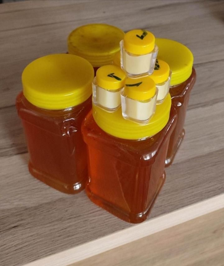 عسل چهل گیاه از کوهساران سرسبز خوانسار|خوردنی و آشامیدنی|تهران, تهرانپارس شرقی|دیوار