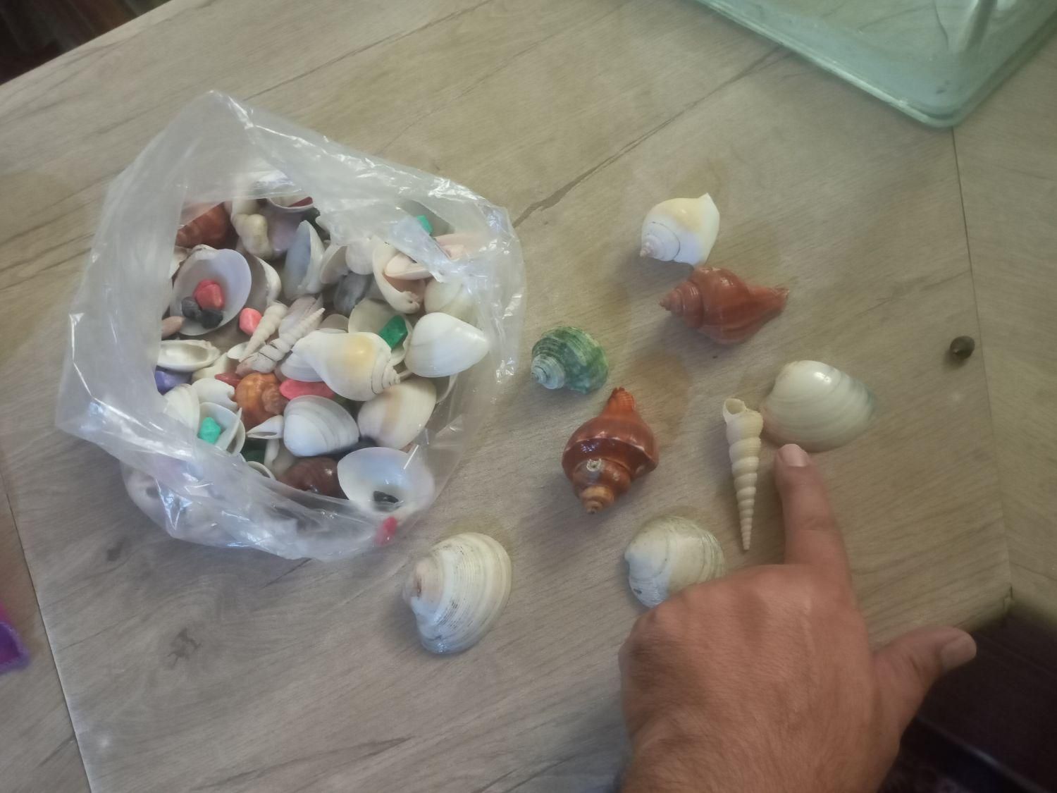 آکواریوم شیشه خم شرکتی با وسایل|ماهی|تهران, شادآباد|دیوار