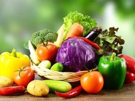 شرکت بسته بندی سالاد و سبزیجات تامارا|خوردنی و آشامیدنی|مشهد, توس (بلوار توس)|دیوار
