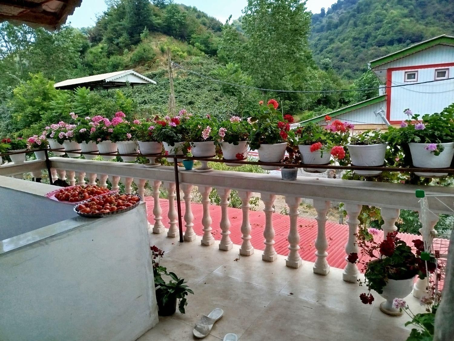 اجاره روزانه ویلا جنگلی|اجارهٔ کوتاه‌مدت ویلا و باغ|حویق, |دیوار