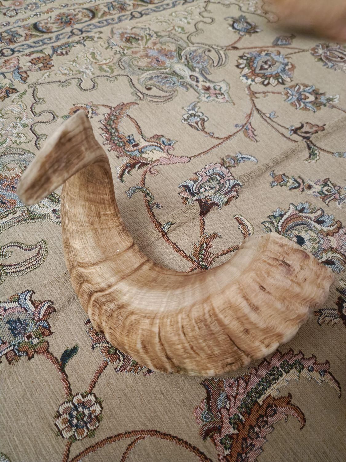 شاخ|صنایع دستی و سایر لوازم تزئینی|تهران, فلاح|دیوار