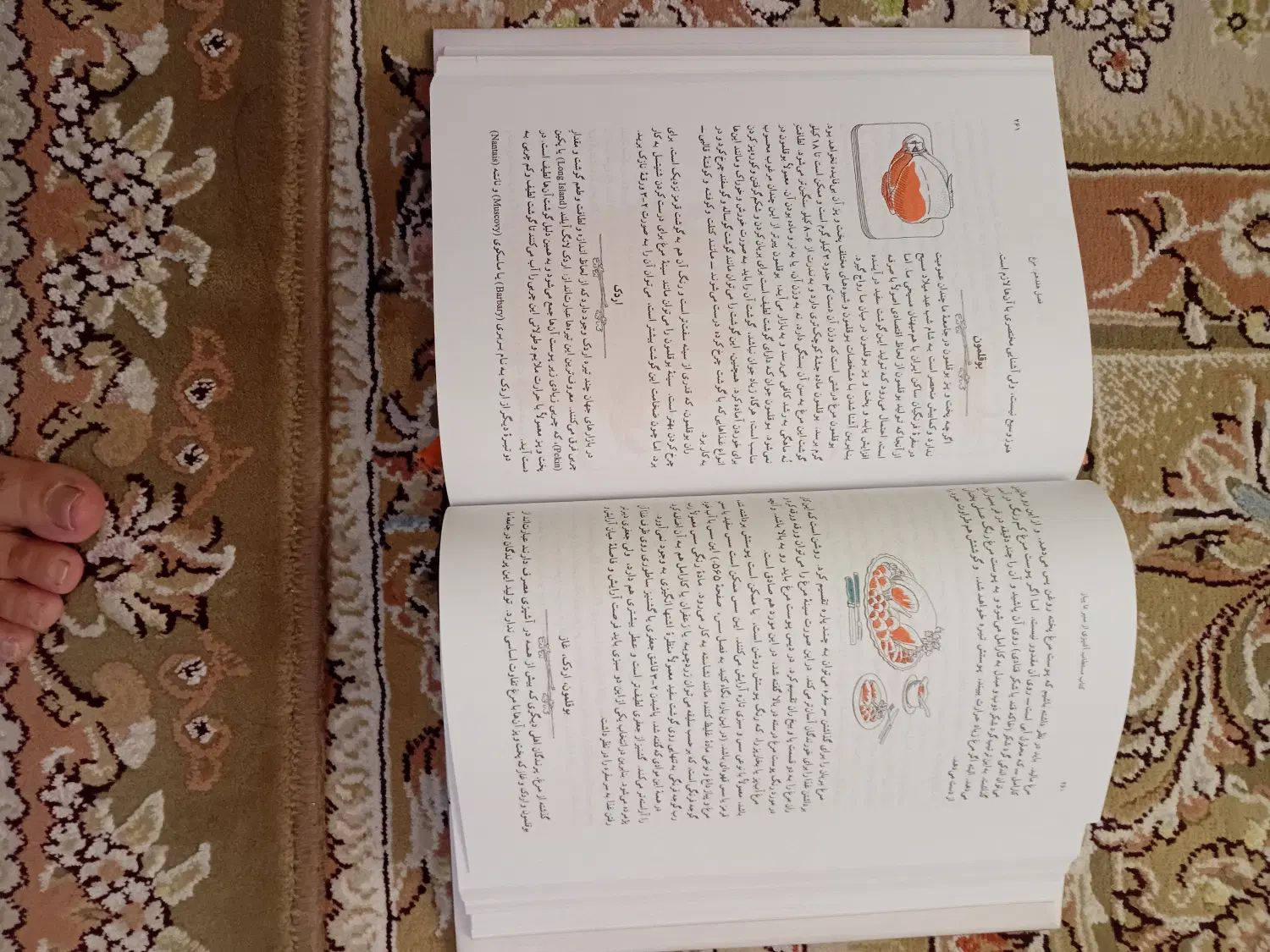 کتاب مستطاب آشپزی ازسیر تاپیاز ازنجف دریابندری|کتاب و مجله آموزشی|تهران, ارم|دیوار