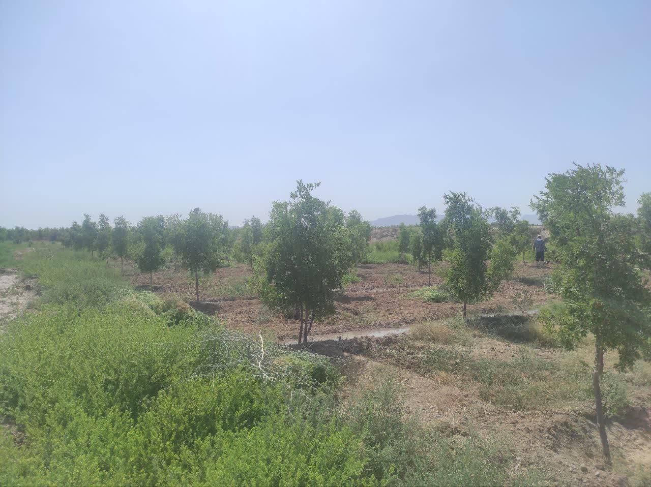 تصویر 5