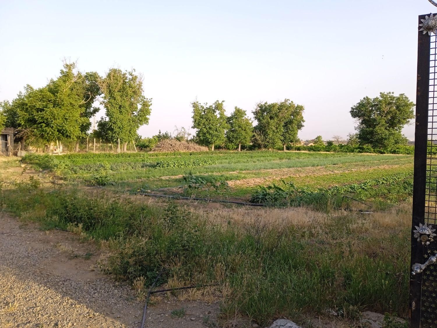 زمین و باغ با چاه عمیق مناسب گلخانه و مرغداری|فروش زمین و ملک کلنگی|ابهر, |دیوار