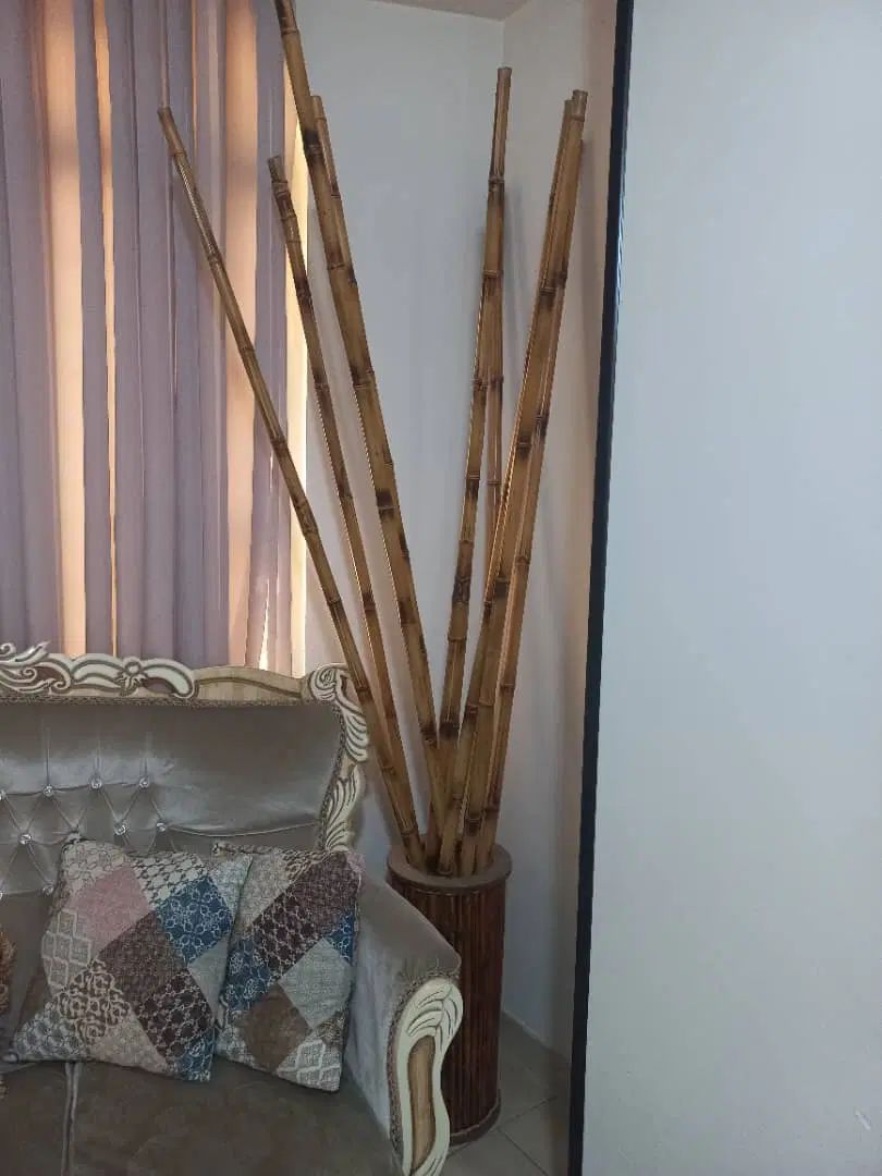 بامبو طبیعی و گلدان بامبو|گل و گیاه طبیعی|کرج, ساسانی (قلمستان)|دیوار