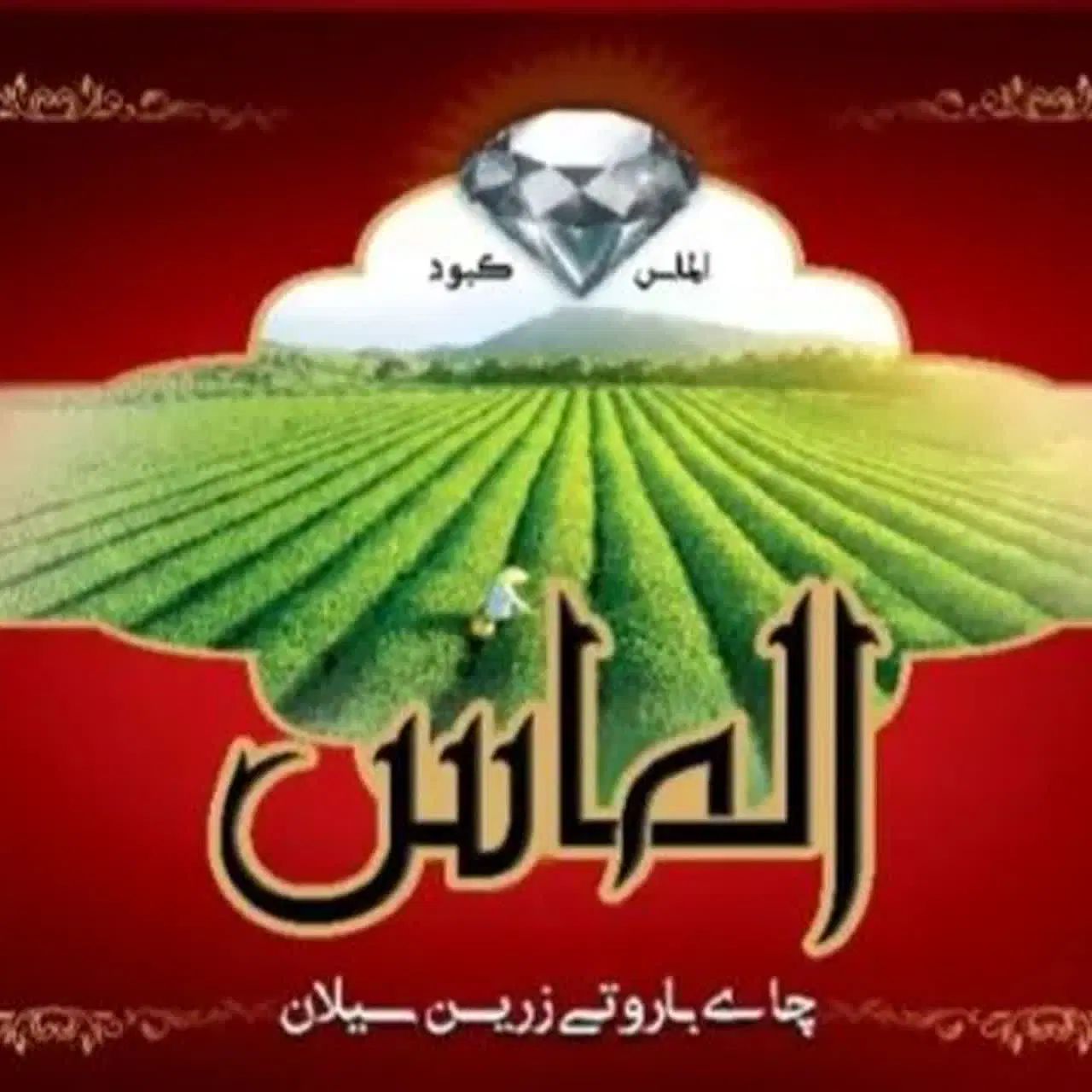 استخدام بازاریاب مواد غذایی محصولات الماس|استخدام بازاریابی و فروش|ملایر, |دیوار
