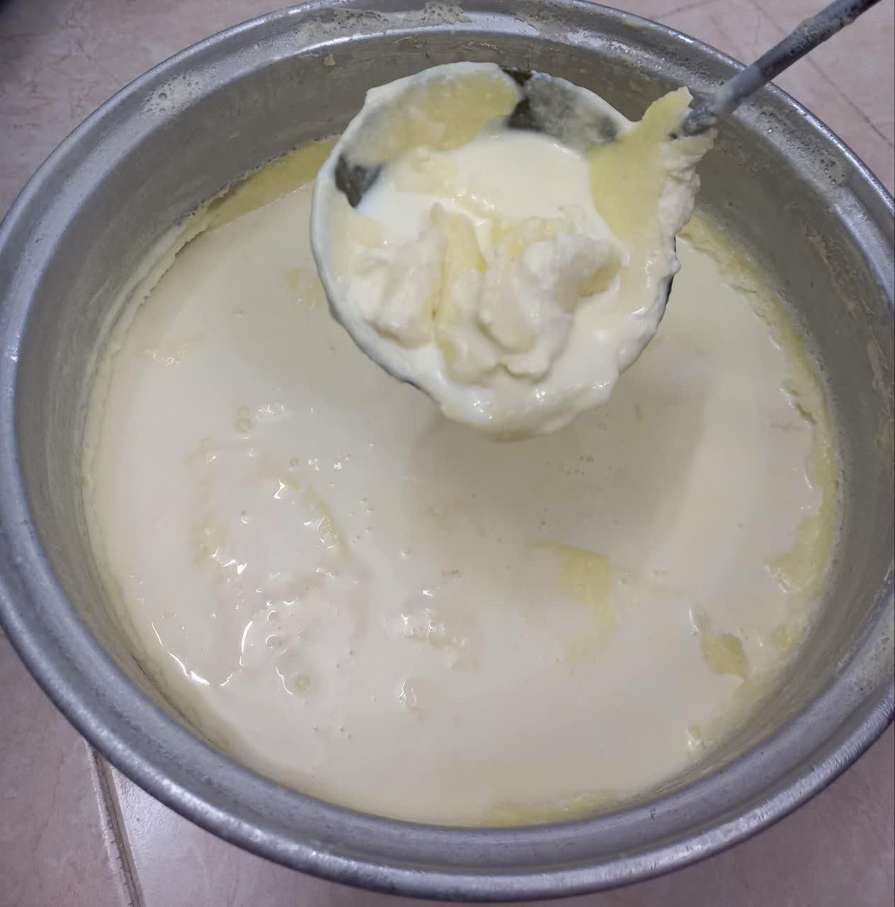 شیر جرسی برای بستنی-ماست-دوغ-لبنیات|خوردنی و آشامیدنی|تهران, چیتگر جنوبی|دیوار