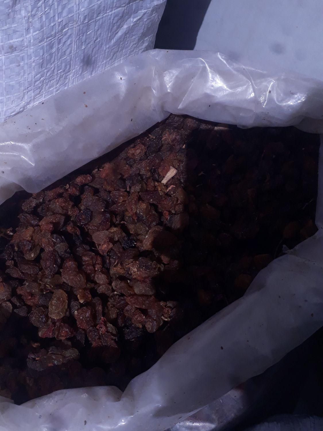 کشمش‌ ومویز|خوردنی و آشامیدنی|کاشان, بازار کاشان|دیوار