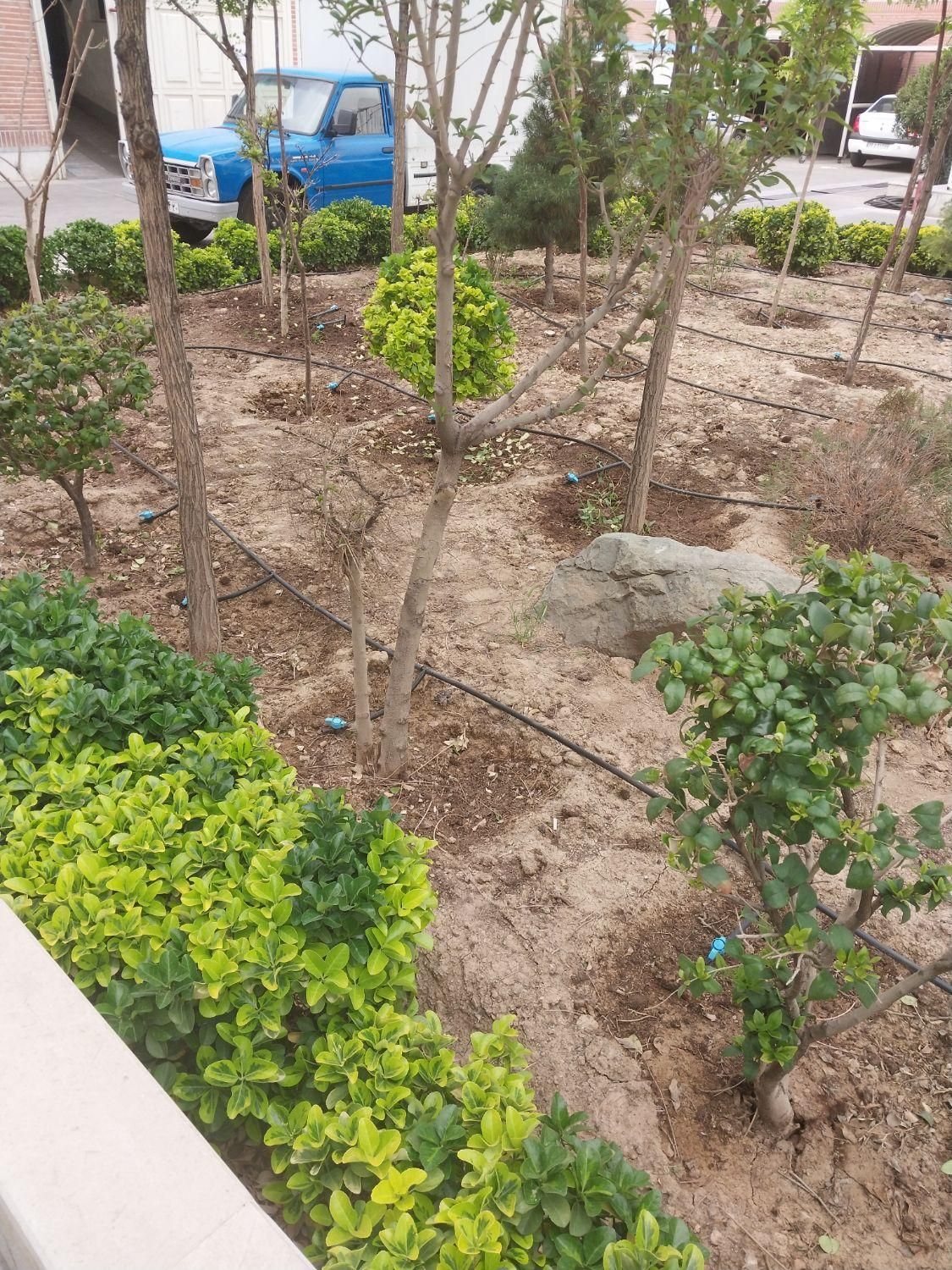 ابیاری قطره ای باغ ویلا لوله گذاری تعمیرات ویلا|خدمات باغبانی و درختکاری|تهران, استاد معین|دیوار