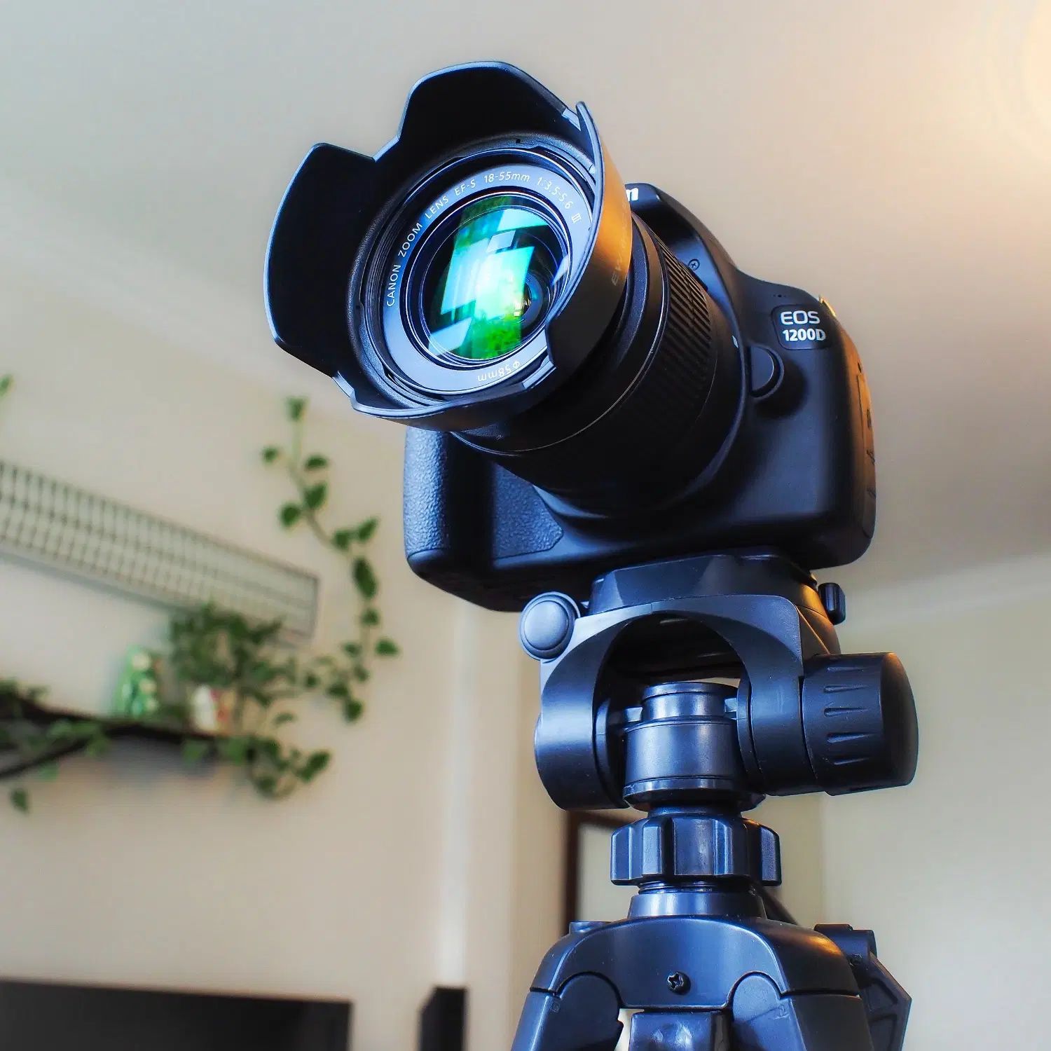 Canon 1200D/در حد آکبند/فول پکیج|دوربین عکاسی و فیلم‌برداری|تهران, یوسف‌آباد|دیوار