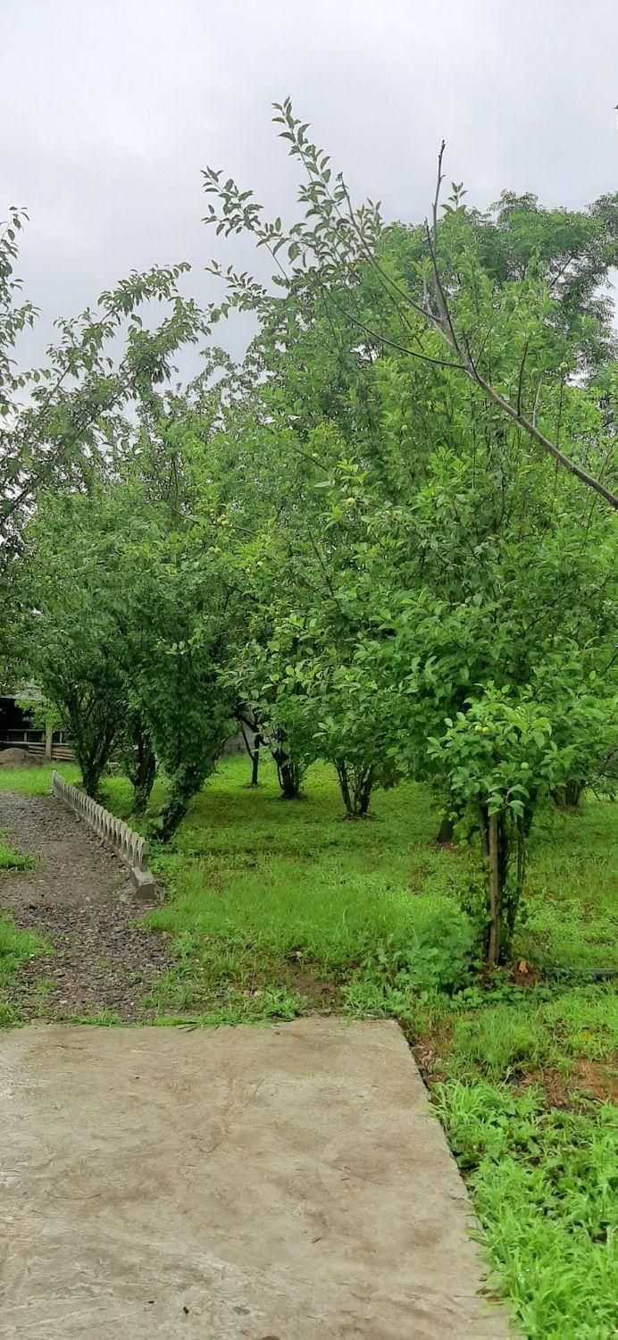 اجاره سوییت ویلا روزانه/هفتگی/ در قاضیان سنگر|اجارهٔ کوتاهمدت آپارتمان و سوئیت|سنگر, |دیوار