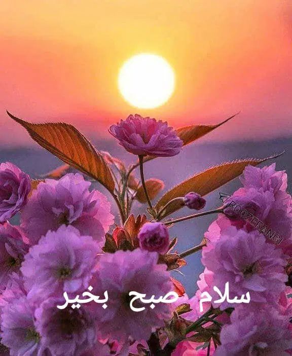 کارگر ساده|استخدام بازاریابی و فروش|تهران, شهرک ولیعصر جنوبی|دیوار