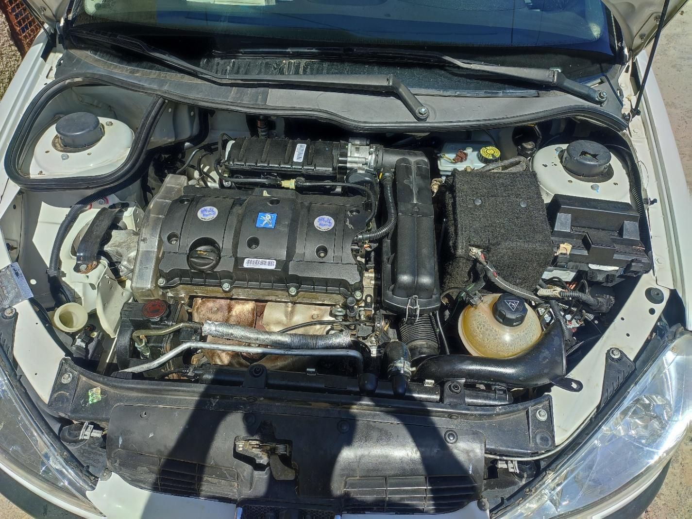 پژو 206 مدل 1396|خودرو سواری و وانت|جهرم, |دیوار