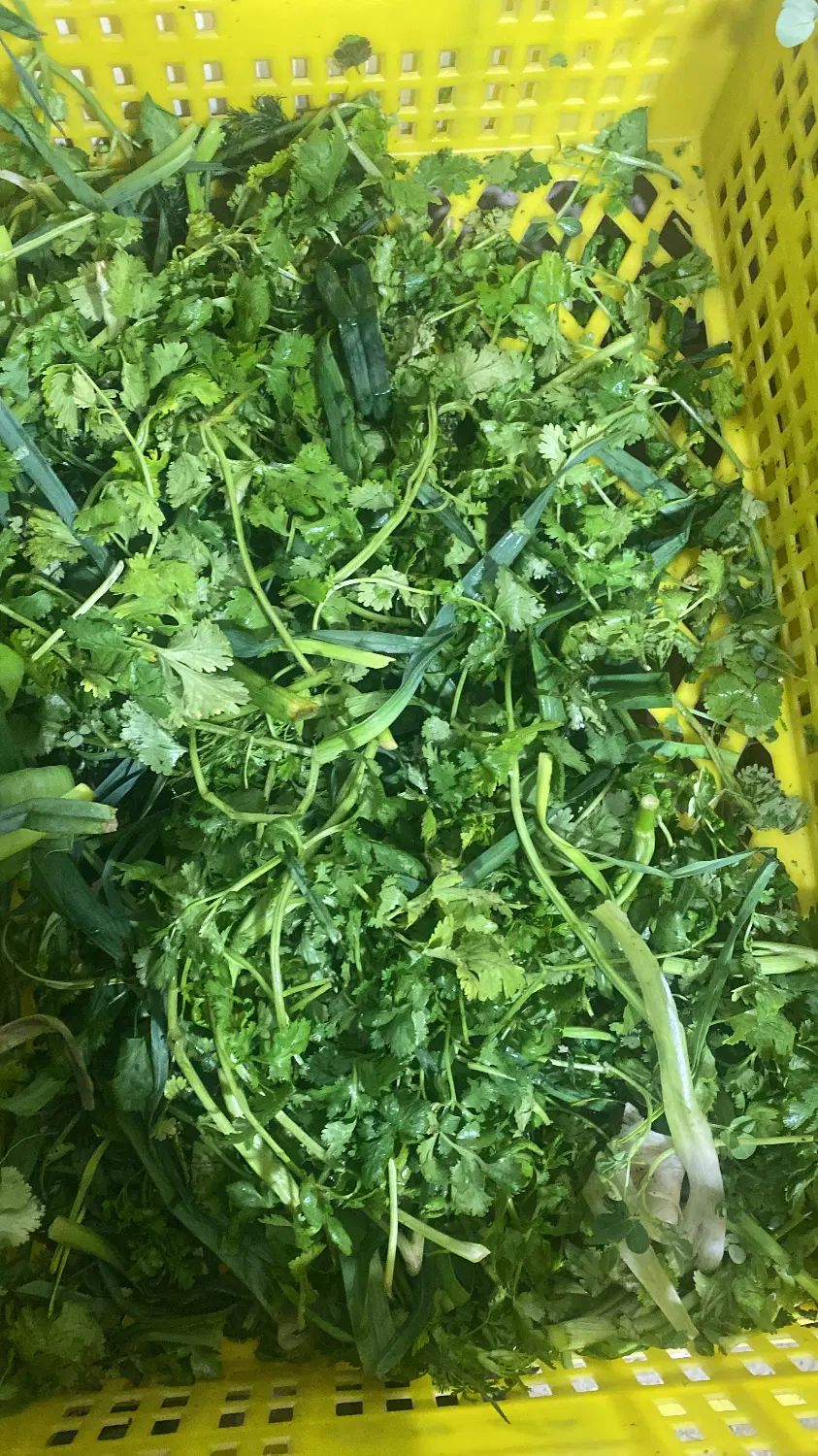 سبزی خرد شده|خوردنی و آشامیدنی|تهران, هفده شهریور|دیوار