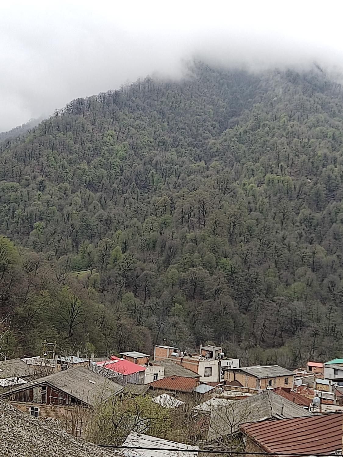 ویلا 95متری هم کف ویو عالی|اجارهٔ کوتاه‌مدت آپارتمان و سوئیت|مینودشت, |دیوار