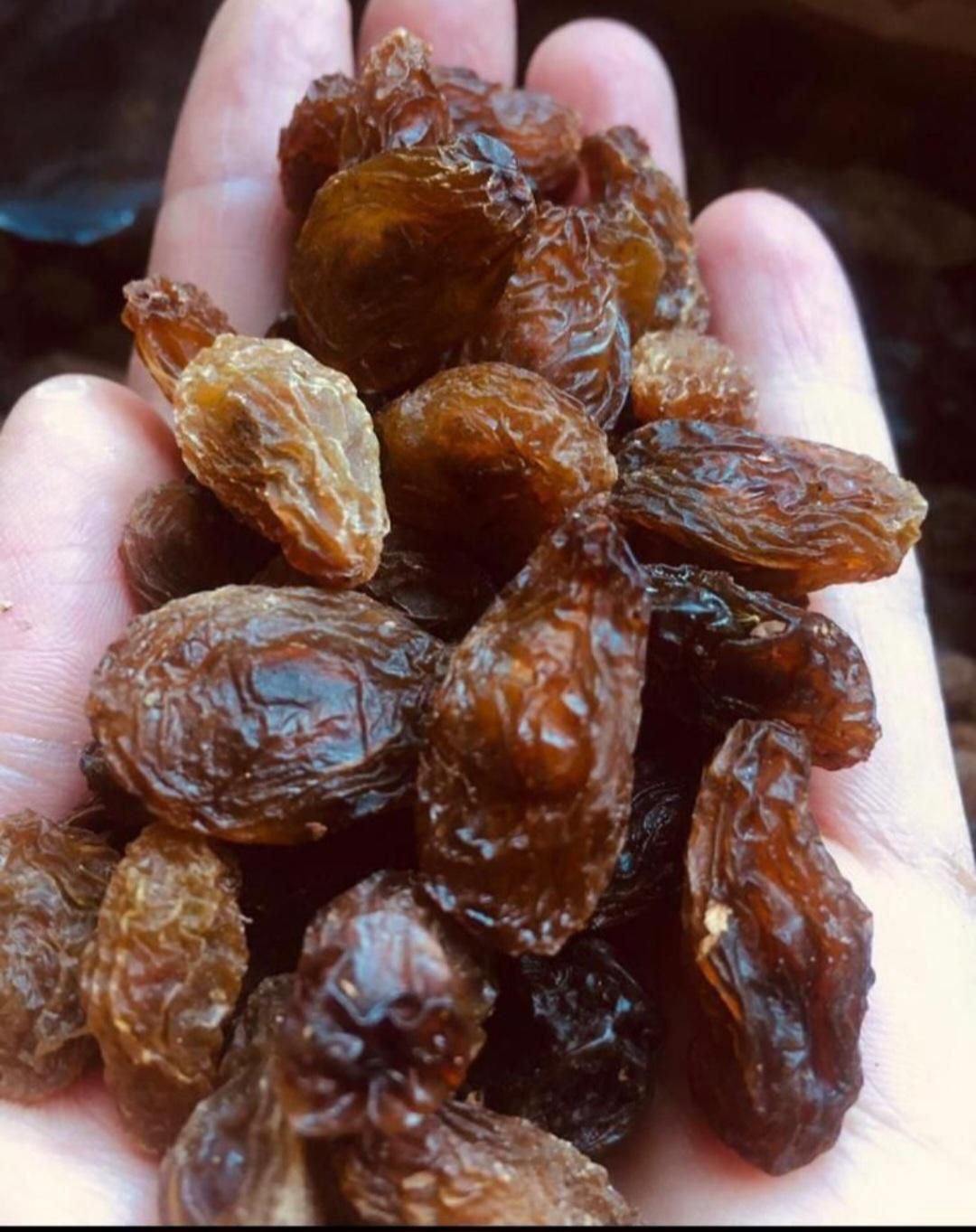 خریدوفروش عمده مویزو کشمش|عمده‌فروشی|شیراز, ارم|دیوار