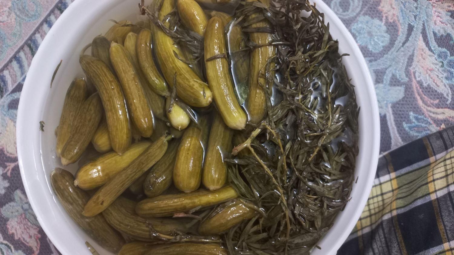 خیار شور ریز و قلمی خانگی|خوردنی و آشامیدنی|اصفهان, طامه|دیوار
