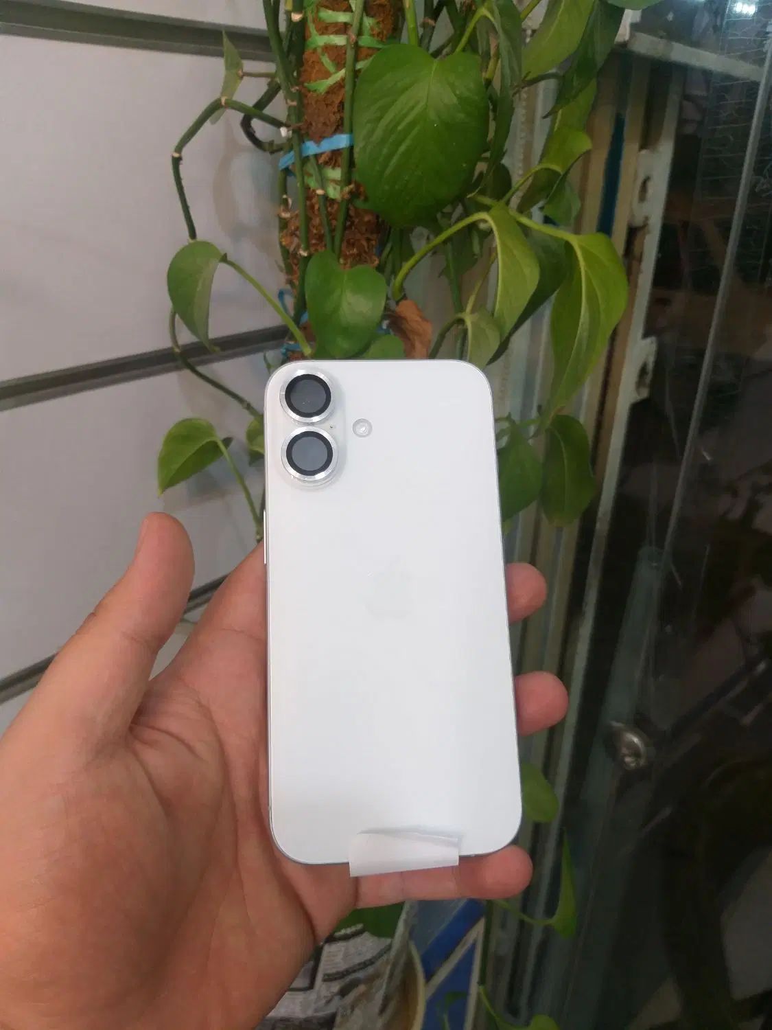 lphone 16 normal|موبایل|اصفهان, برازنده|دیوار