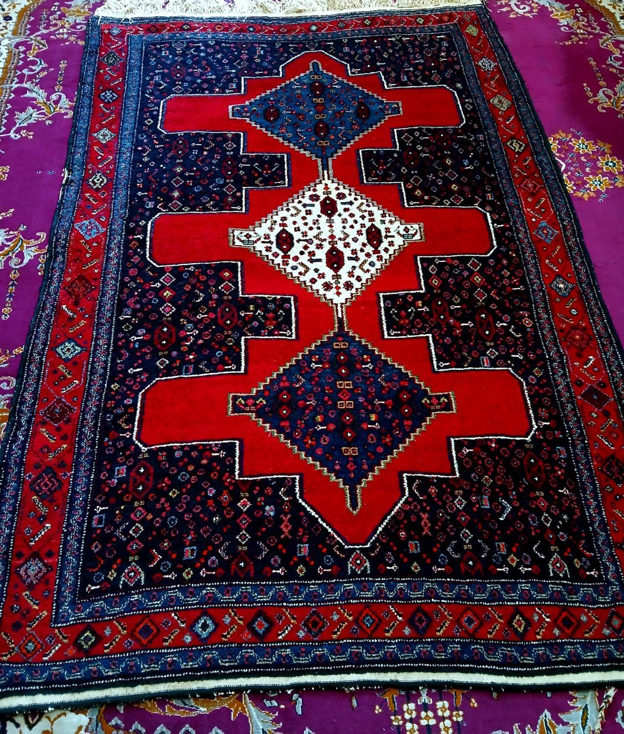 قالی دستباف رنگ گیاهی|فرش|سنندج, |دیوار