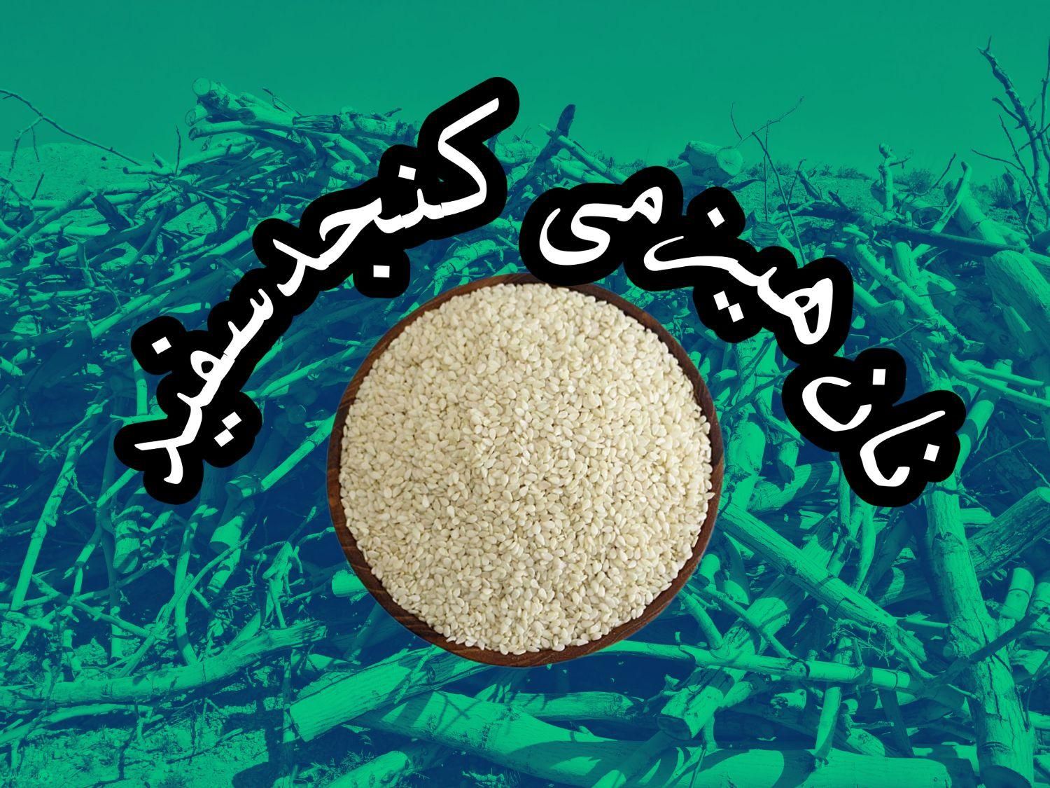 نان بومی وهیزمی ننه خاتون/ کنجدسفید|خوردنی و آشامیدنی|اصفهان, خوراسگان|دیوار