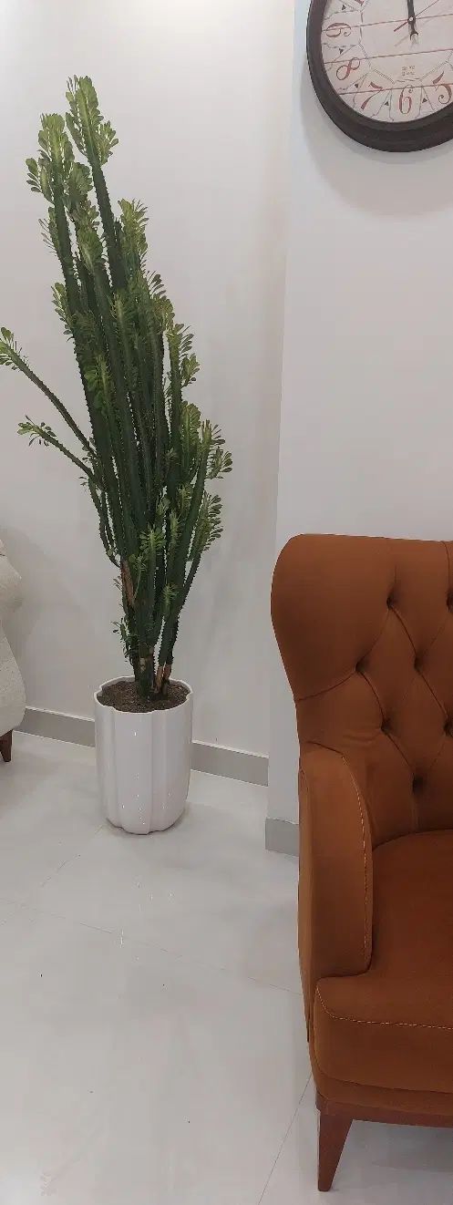 یکبار مهمان ما باشید مشتری ثابت خواهید شد|اجارهٔ کوتاه‌مدت آپارتمان و سوئیت|ارومیه, |دیوار