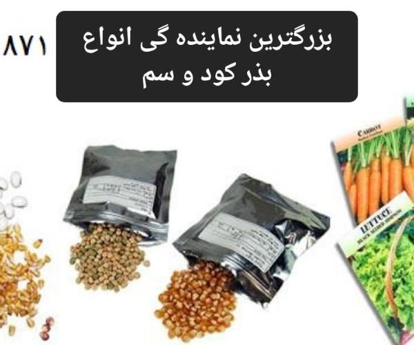 فروش انواع بذر و کود و سم برای کشاورزان|خدمات باغبانی و درختکاری|تهران, باغ فیض|دیوار
